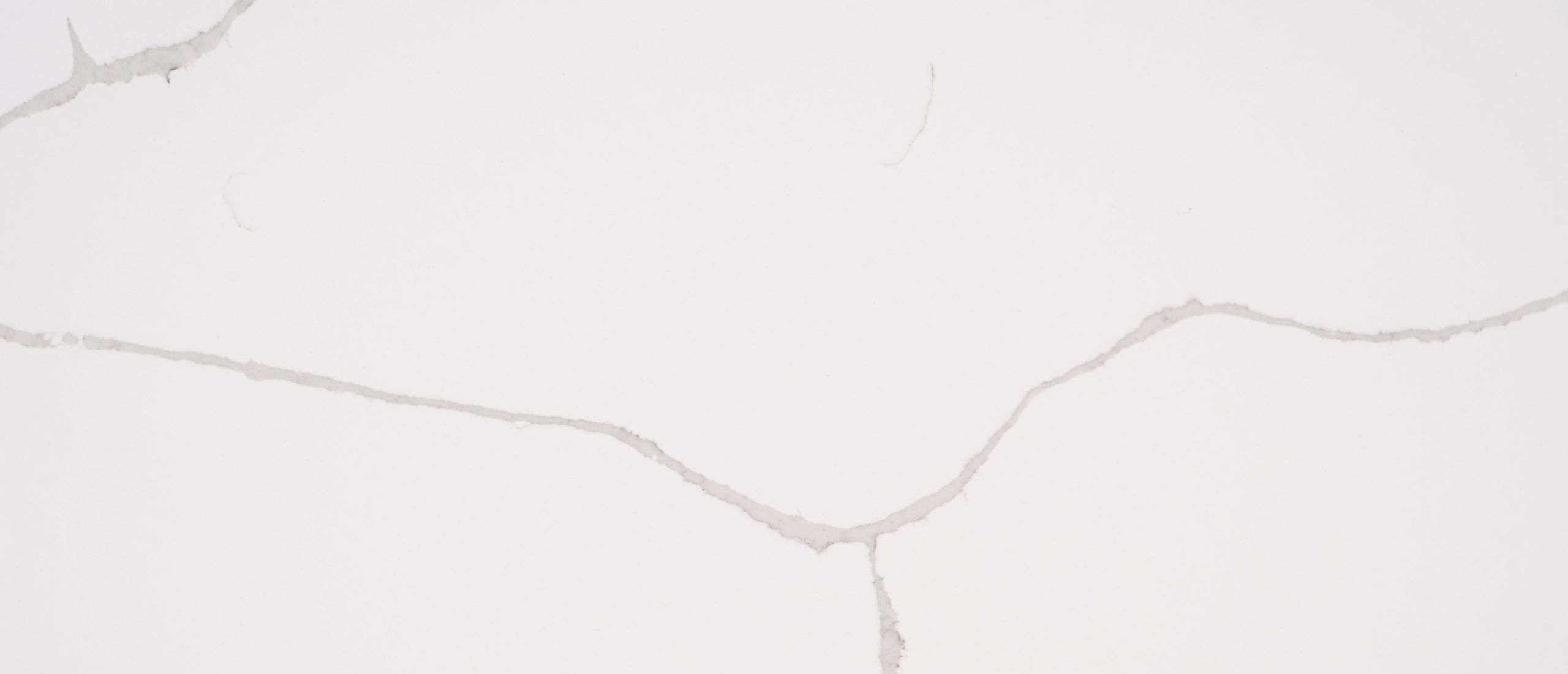 Calacatta Classique - Close Up