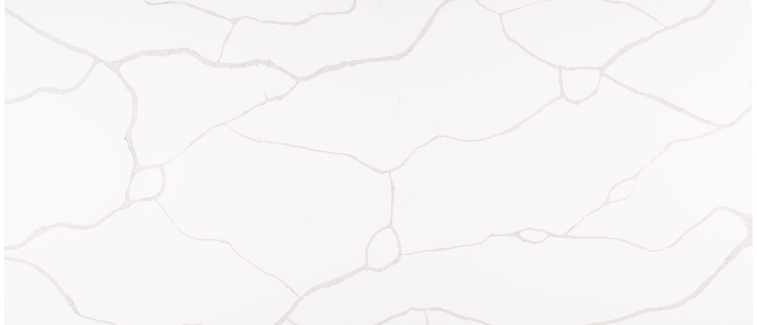 Calacatta Classique - Slab