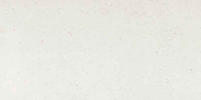 White Dove 1